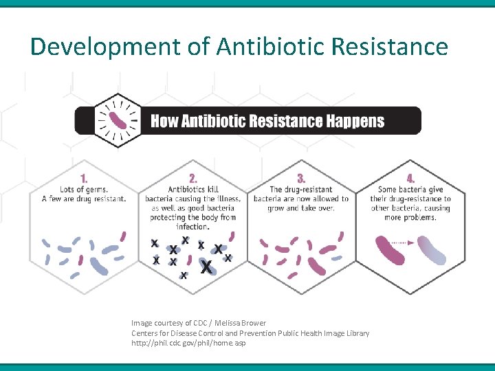 Development of Antibiotic Resistance Image courtesy of CDC / Melissa Brower Centers for Disease