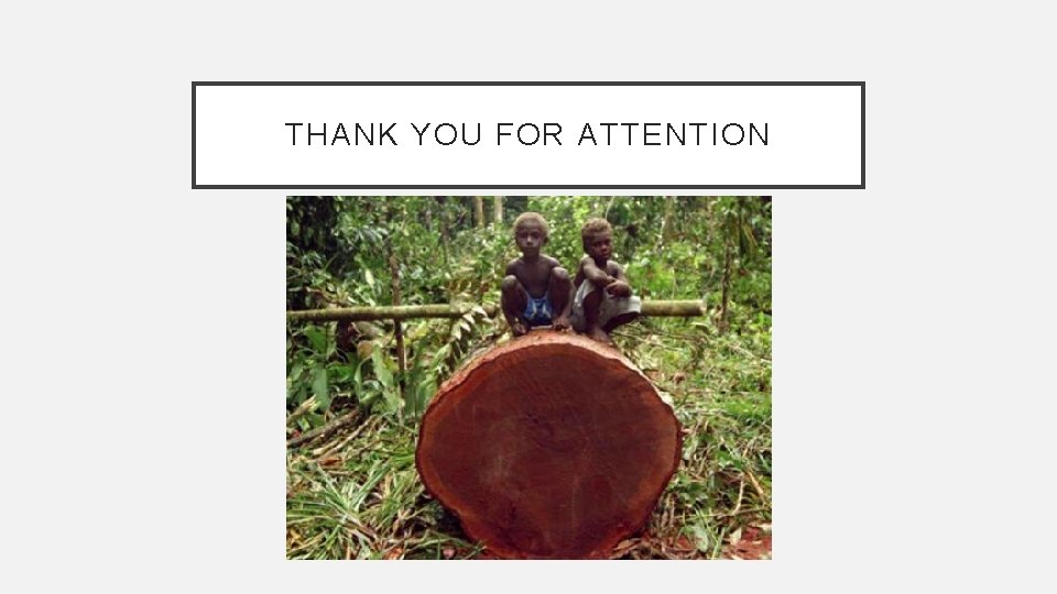 THANK YOU FOR ATTENTION 