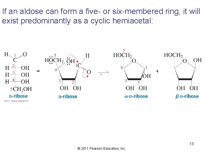 If an aldose can form a five- or six-membered ring, it will exist predominantly