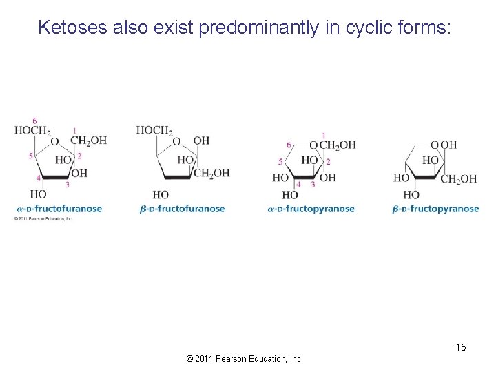 Ketoses also exist predominantly in cyclic forms: 15 © 2011 Pearson Education, Inc. 