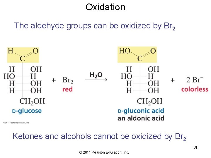 Oxidation The aldehyde groups can be oxidized by Br 2 Ketones and alcohols cannot