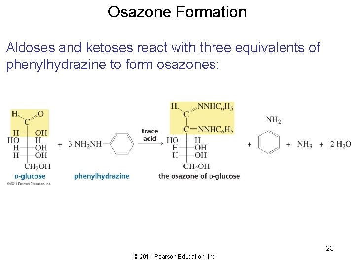 Osazone Formation Aldoses and ketoses react with three equivalents of phenylhydrazine to form osazones: