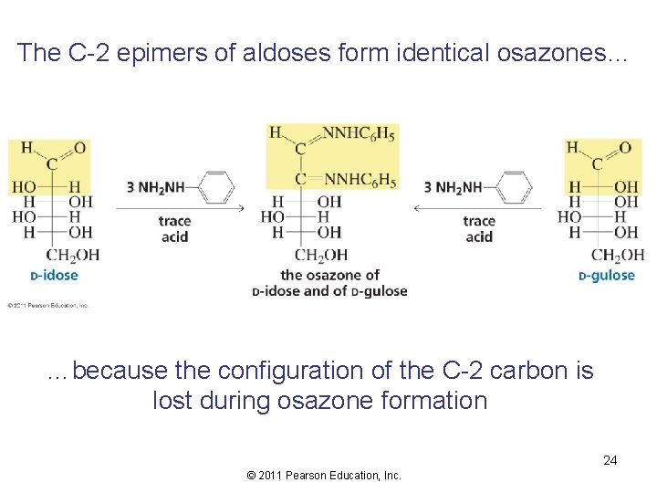 The C-2 epimers of aldoses form identical osazones… …because the configuration of the C-2