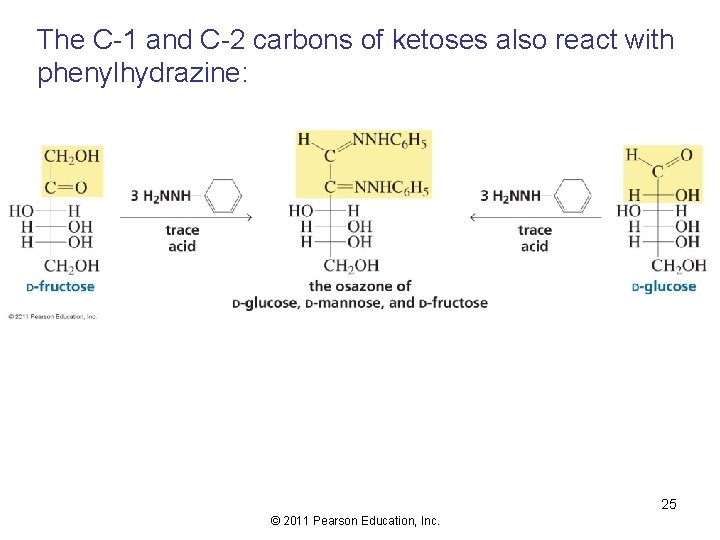 The C-1 and C-2 carbons of ketoses also react with phenylhydrazine: 25 © 2011