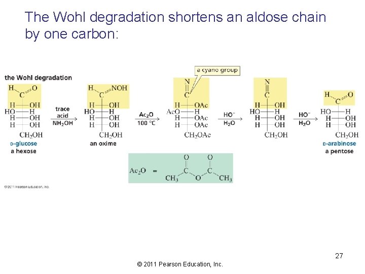 The Wohl degradation shortens an aldose chain by one carbon: 27 © 2011 Pearson