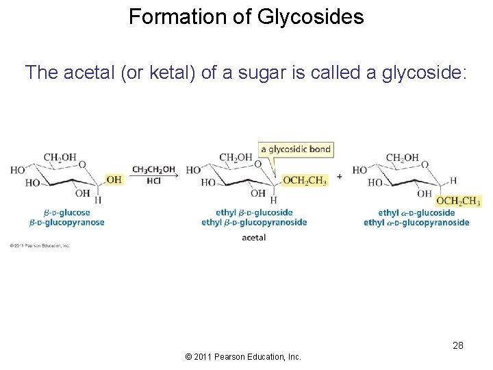 Formation of Glycosides The acetal (or ketal) of a sugar is called a glycoside: