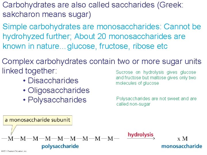 Carbohydrates are also called saccharides (Greek: sakcharon means sugar) Simple carbohydrates are monosaccharides: Cannot