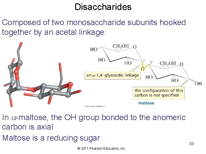 Disaccharides Composed of two monosaccharide subunits hooked together by an acetal linkage: In a-maltose,