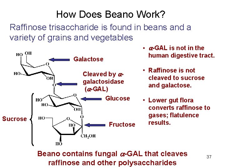 How Does Beano Work? Raffinose trisaccharide is found in beans and a variety of