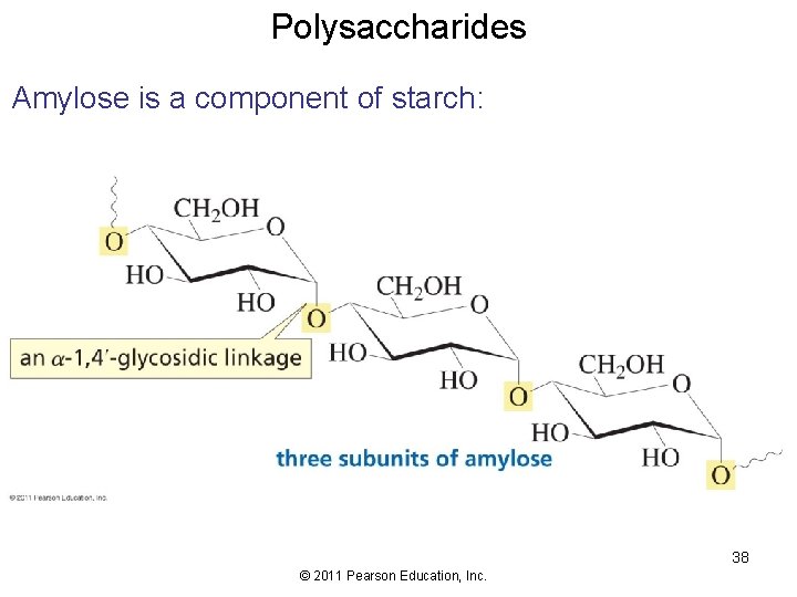 Polysaccharides Amylose is a component of starch: 38 © 2011 Pearson Education, Inc. 