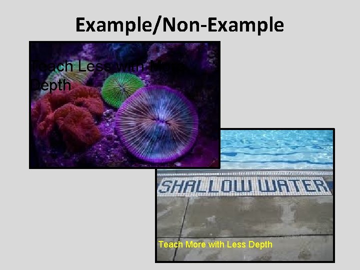 Example/Non-Example Teach Less with More Depth Teach More with Less Depth 