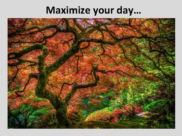 Maximize your day… 