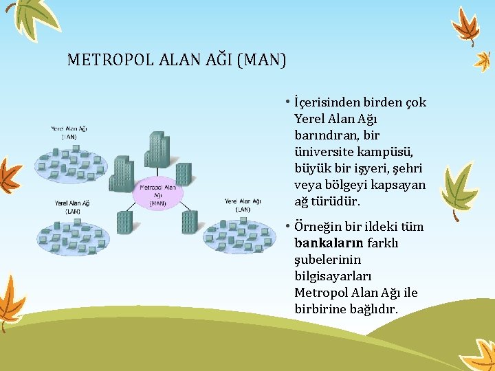 METROPOL ALAN AĞI (MAN) • İçerisinden birden çok Yerel Alan Ağı barındıran, bir üniversite