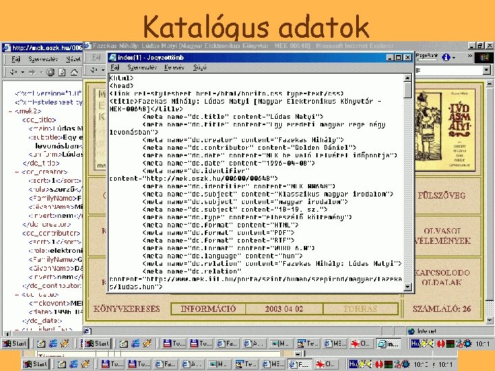 Katalógus adatok 