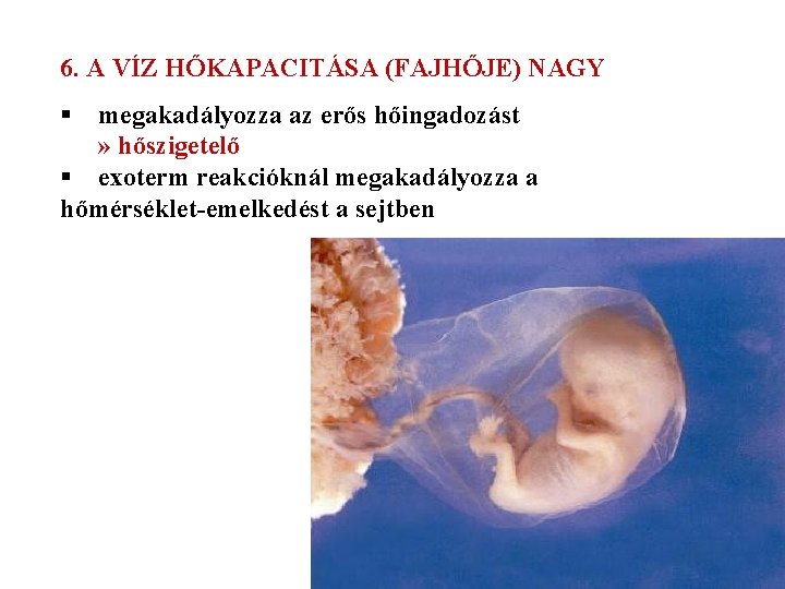 6. A VÍZ HŐKAPACITÁSA (FAJHŐJE) NAGY § megakadályozza az erős hőingadozást » hőszigetelő §