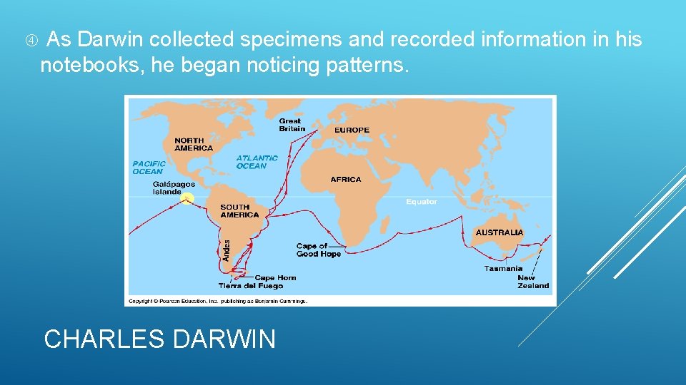  As Darwin collected specimens and recorded information in his notebooks, he began noticing