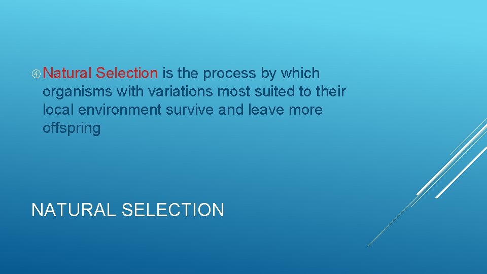 Natural Selection is the process by which organisms with variations most suited to