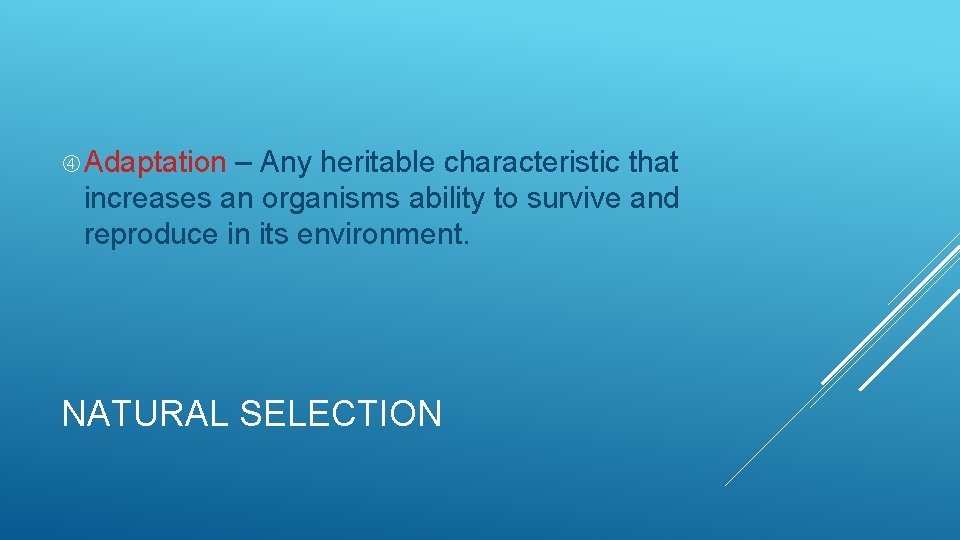  Adaptation – Any heritable characteristic that increases an organisms ability to survive and