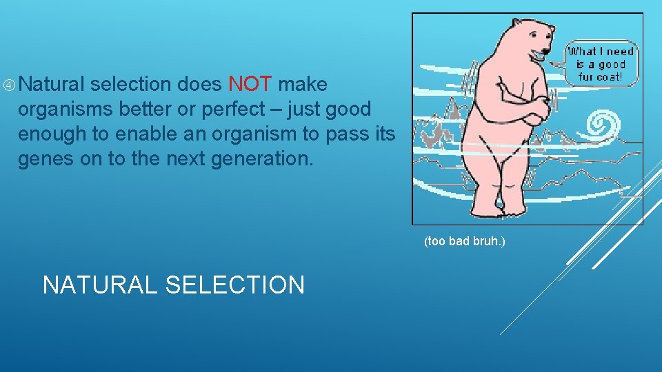 Natural selection does NOT make organisms better or perfect – just good enough