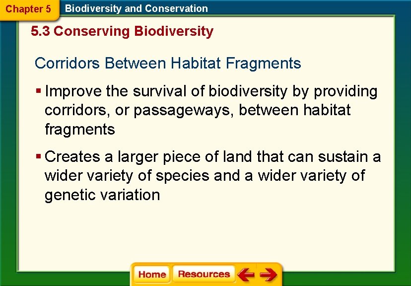 Chapter 5 Biodiversity and Conservation 5. 3 Conserving Biodiversity Corridors Between Habitat Fragments §