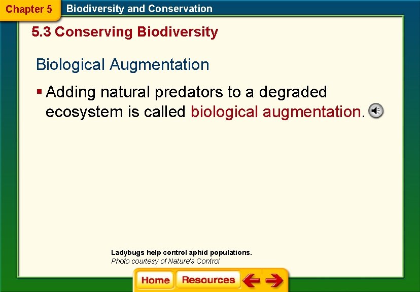 Chapter 5 Biodiversity and Conservation 5. 3 Conserving Biodiversity Biological Augmentation § Adding natural