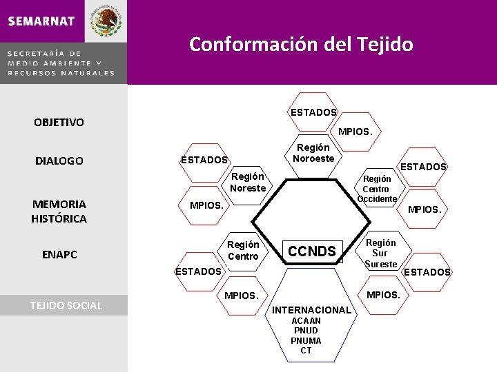 Conformación del Tejido ESTADOS OBJETIVO DIALOGO MPIOS. Región Noroeste ESTADOS Región Noreste MEMORIA HISTÓRICA