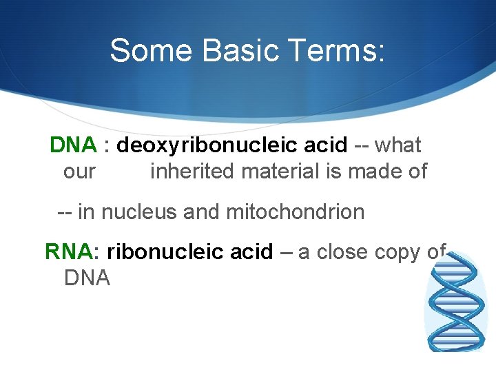 Some Basic Terms: DNA : deoxyribonucleic acid -- what our inherited material is made