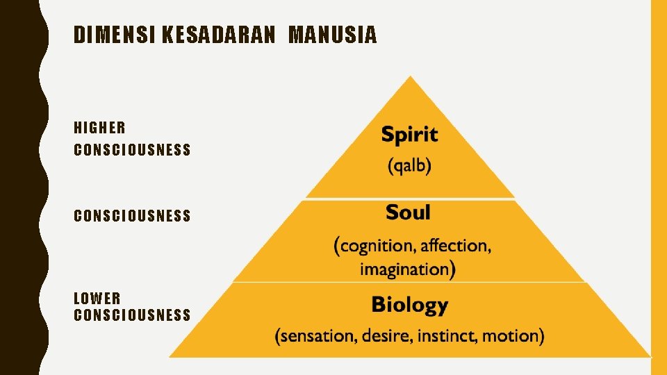 DIMENSI KESADARAN MANUSIA HIGHER CONSCIOUSNESS LOWER CONSCIOUSNESS 