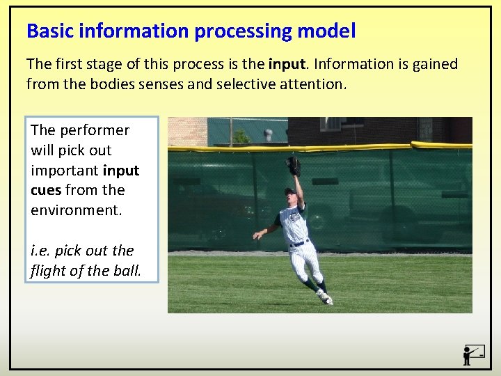 Basic information processing model The first stage of this process is the input. Information