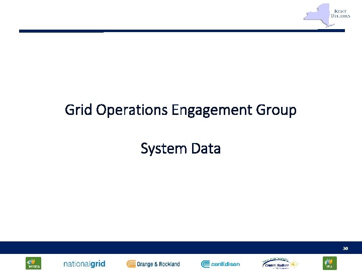 Grid Operations Engagement Group System Data 30 