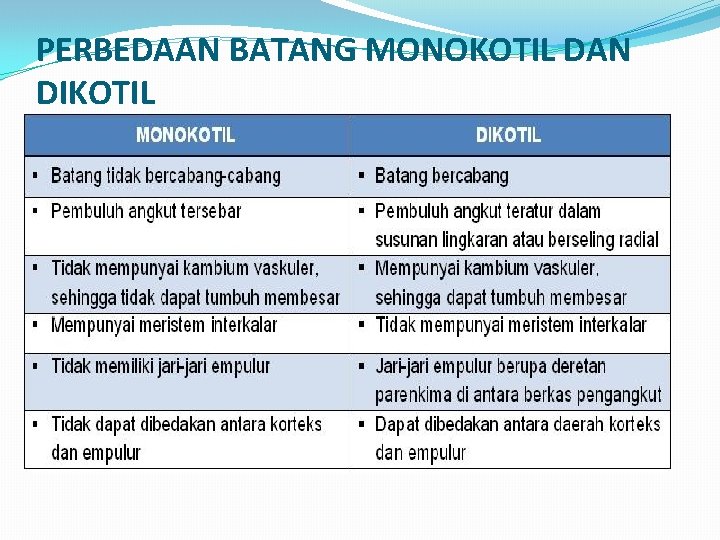 PERBEDAAN BATANG MONOKOTIL DAN DIKOTIL 