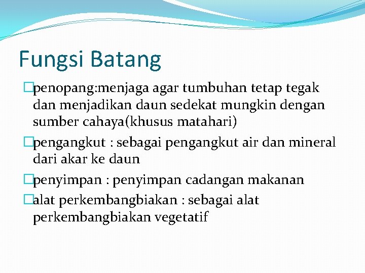 Fungsi Batang �penopang: menjaga agar tumbuhan tetap tegak dan menjadikan daun sedekat mungkin dengan