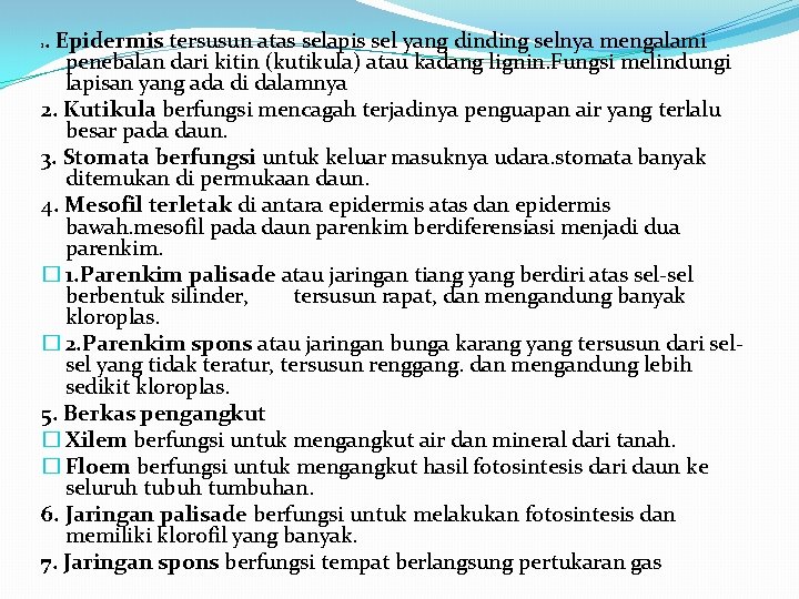 . Epidermis tersusun atas selapis sel yang dinding selnya mengalami penebalan dari kitin (kutikula)