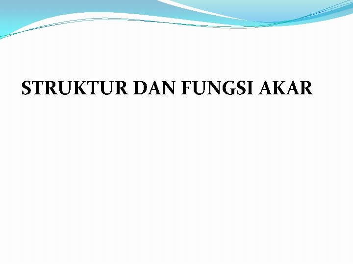 STRUKTUR DAN FUNGSI AKAR 