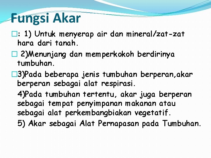 Fungsi Akar �: 1) Untuk menyerap air dan mineral/zat-zat hara dari tanah. � 2)Menunjang