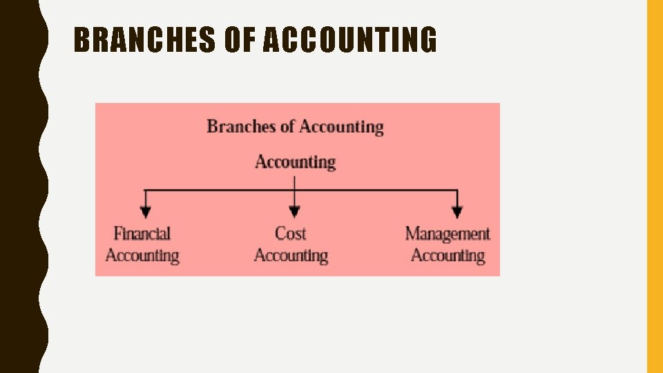 BRANCHES OF ACCOUNTING 