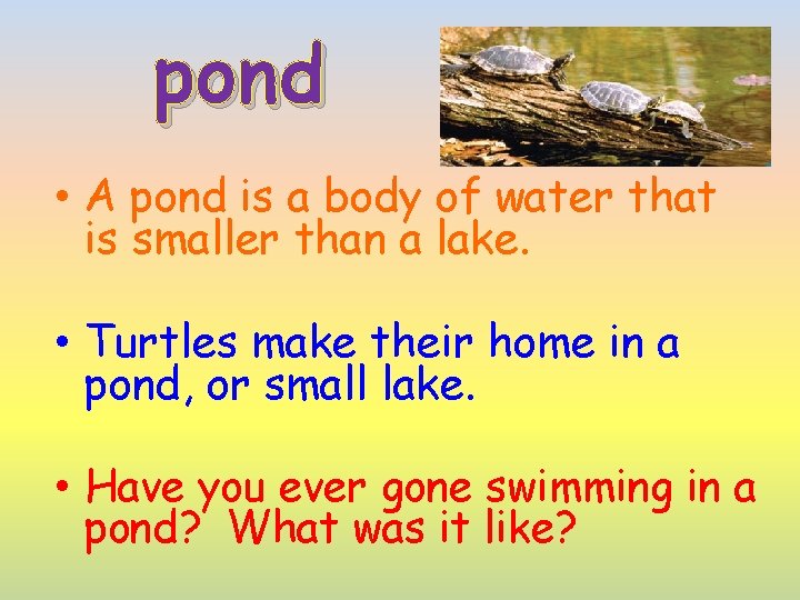 pond • A pond is a body of water that is smaller than a