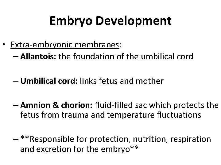 Embryo Development • Extra-embryonic membranes: – Allantois: the foundation of the umbilical cord –