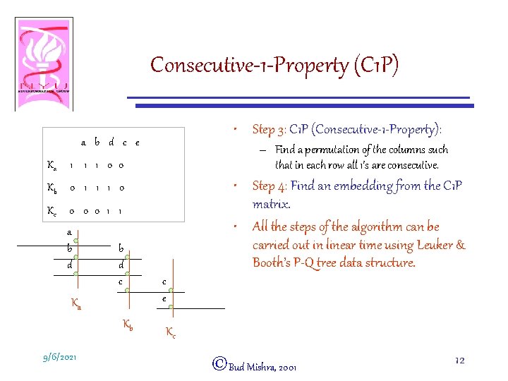 Consecutive-1 -Property (C 1 P) • Step 3: C 1 P (Consecutive-1 -Property): a
