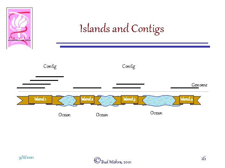 Islands and Contigs Contig Genome Island. 1 Island. 2 Ocean 9/6/2021 Island. 3 Ocean
