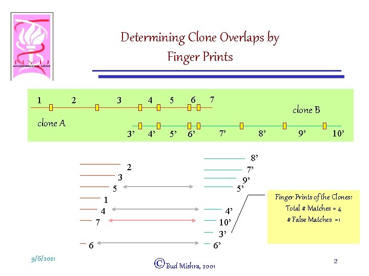 Determining Clone Overlaps by Finger Prints 1 2 3 clone A 3’ 4 5