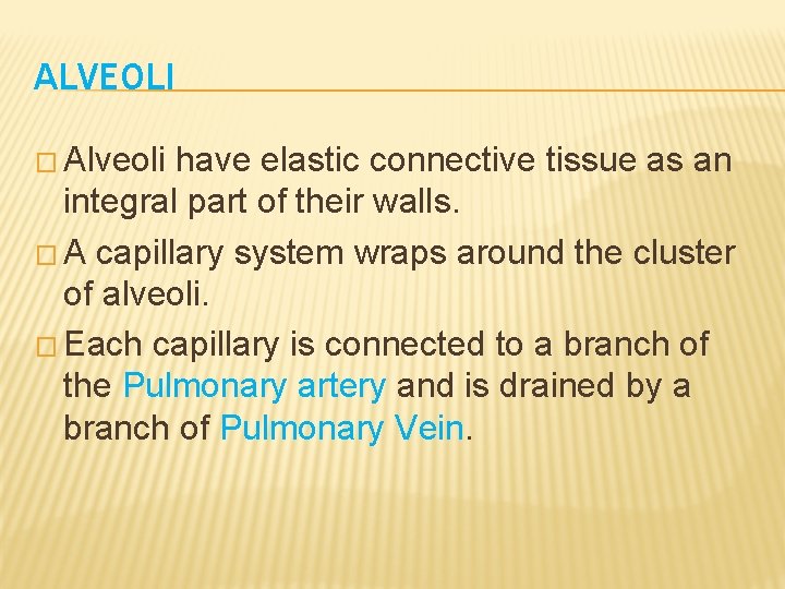 ALVEOLI � Alveoli have elastic connective tissue as an integral part of their walls.