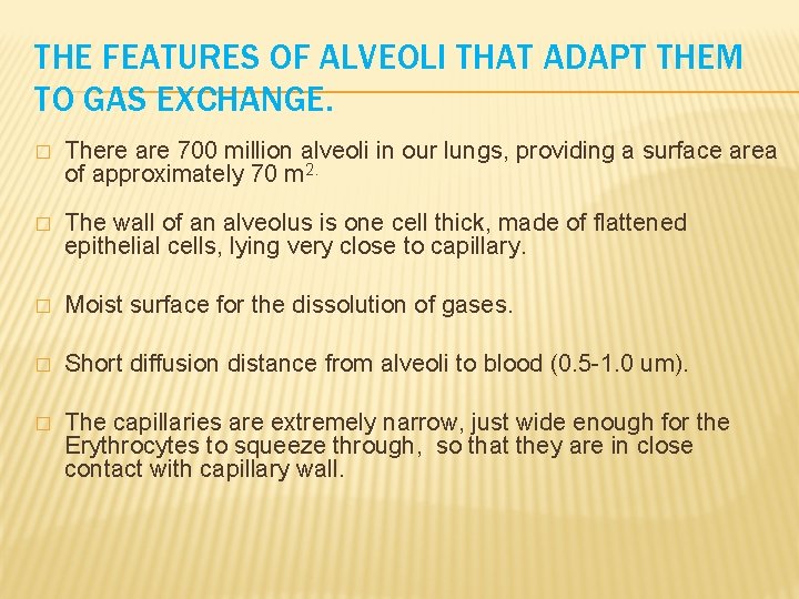 THE FEATURES OF ALVEOLI THAT ADAPT THEM TO GAS EXCHANGE. � There are 700