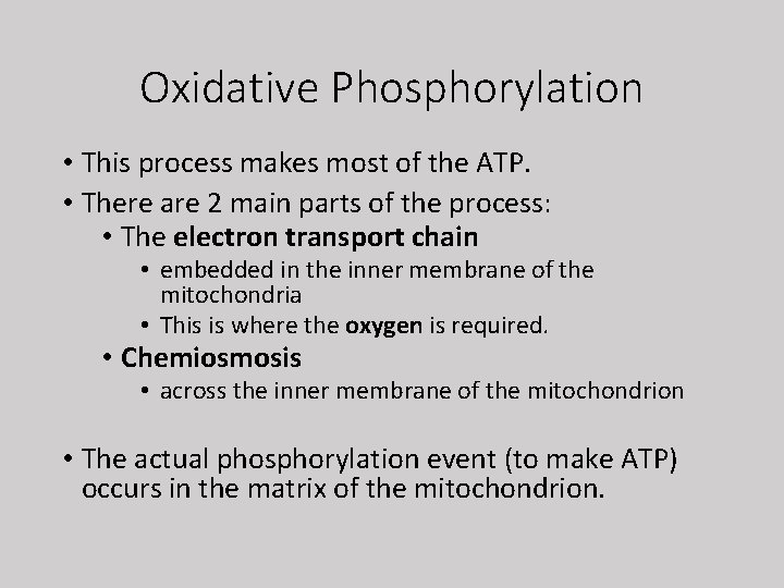 Oxidative Phosphorylation • This process makes most of the ATP. • There are 2