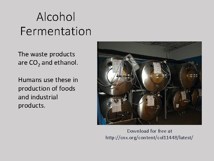 Alcohol Fermentation The waste products are CO 2 and ethanol. Humans use these in