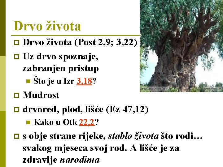 Drvo života (Post 2, 9; 3, 22) p Uz drvo spoznaje, zabranjen pristup p