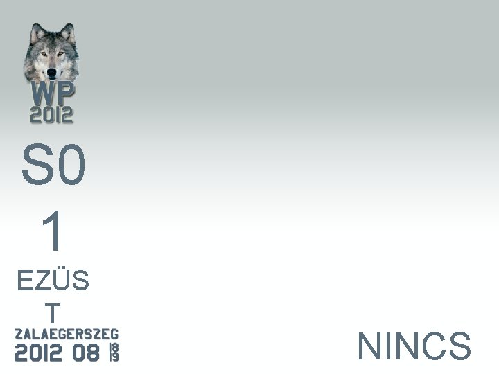 S 0 1 EZÜS T NINCS 