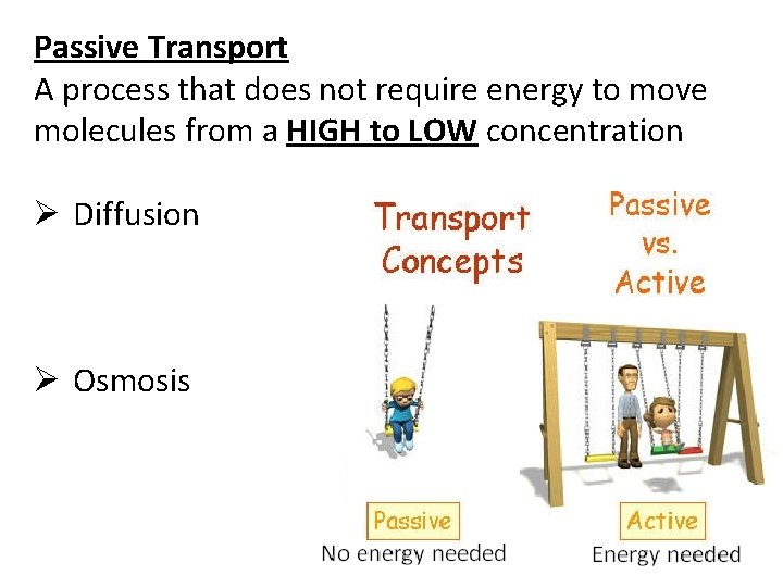 Passive Transport A process that does not require energy to move molecules from a