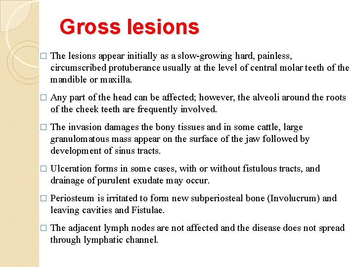 Gross lesions � The lesions appear initially as a slow-growing hard, painless, circumscribed protuberance