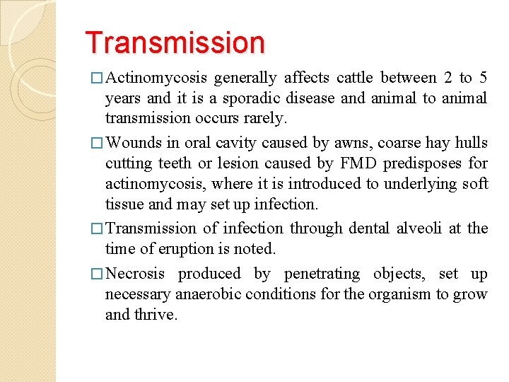 Transmission � Actinomycosis generally affects cattle between 2 to 5 years and it is